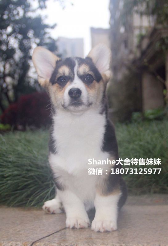 微信图片_20170330085838_副本.jpg