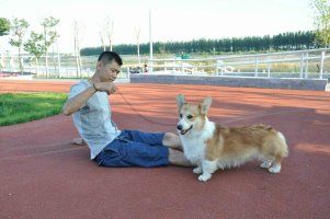 爸爸
