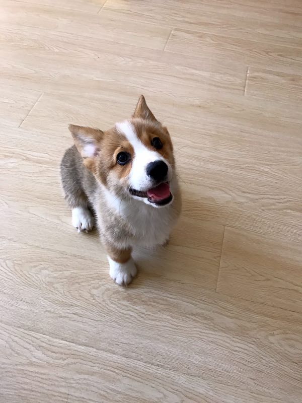 微信图片_20170330135227.jpg