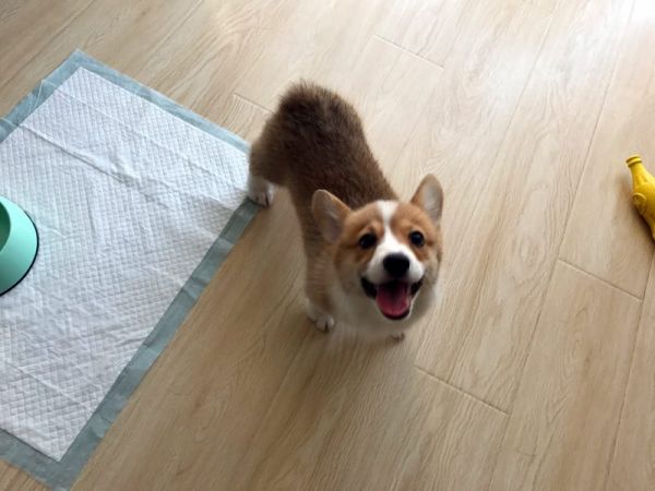 微信图片_20170330135238.jpg