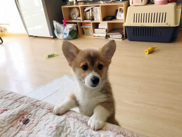 微信图片_20170330135235.jpg