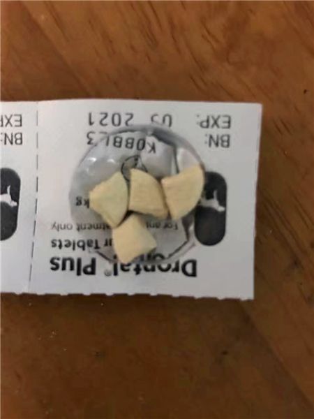 2.28拜耳驱驱虫