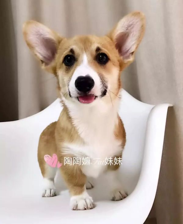 QQ图片20170119112204.jpg