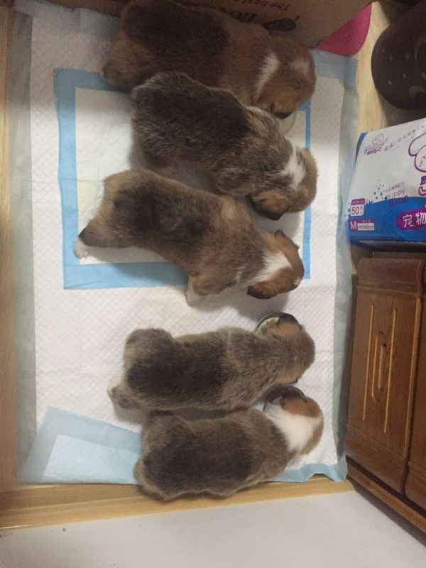 不到两个月