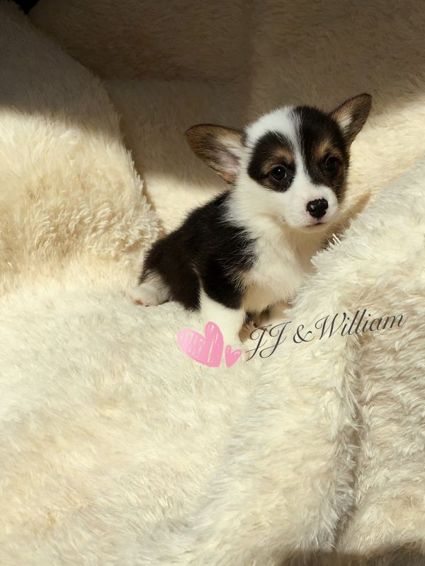 IMG_0760.JPG