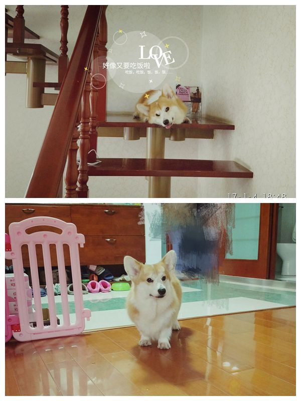 妈妈.jpg