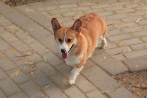 QQ图片20170401082438.jpg