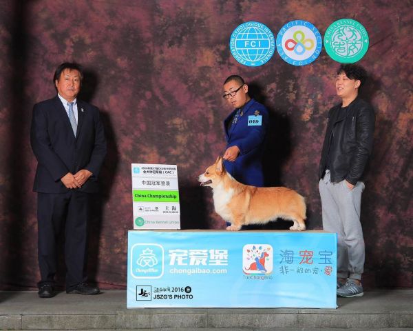 QQ图片20170401082505.jpg
