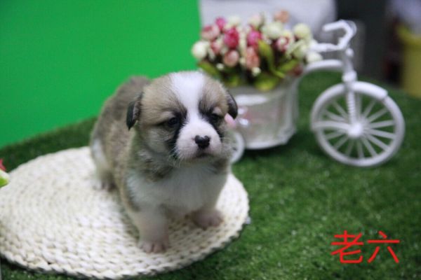QQ图片20170411141034.jpg