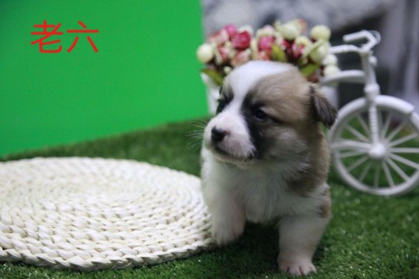 QQ图片20170411141058.jpg