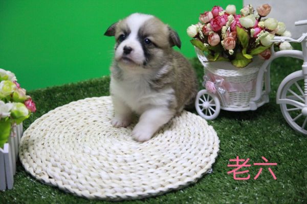 QQ图片20170411141104.jpg