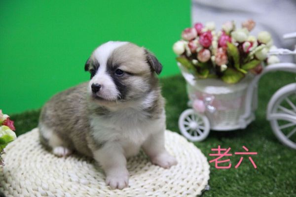QQ图片20170411141110.jpg