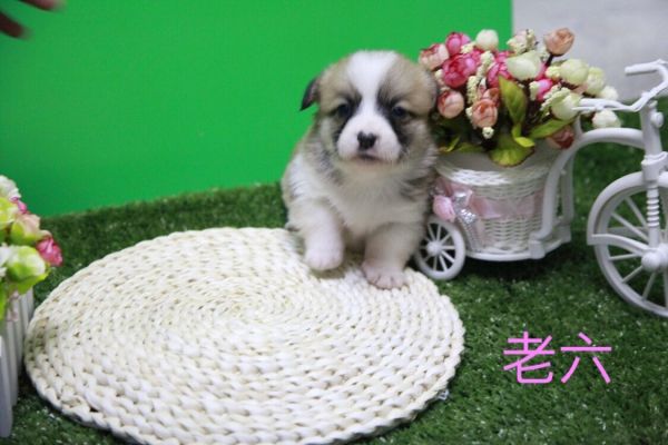 QQ图片20170411141115.jpg
