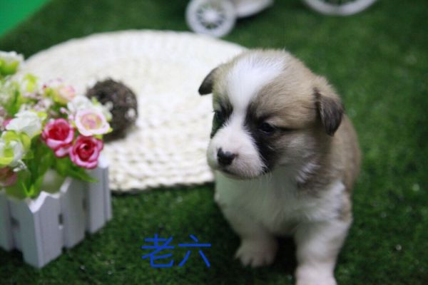 QQ图片20170411141120.jpg