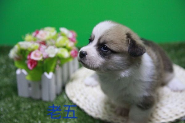 QQ图片20170411141203.jpg