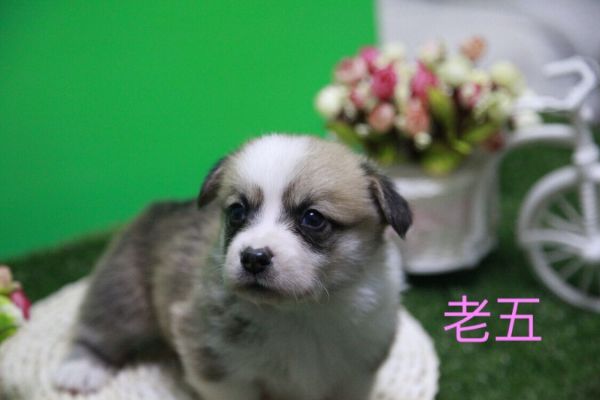 QQ图片20170411141209.jpg