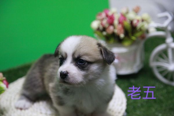 QQ图片20170411141215.jpg