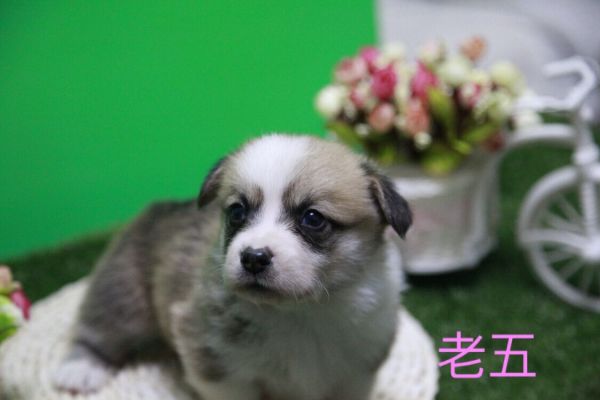 QQ图片20170411141225.jpg