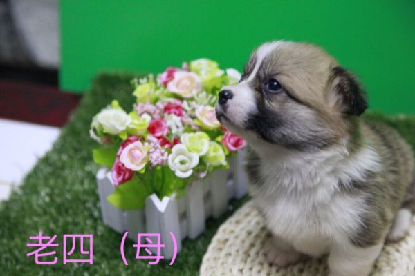 QQ图片20170411141235.jpg