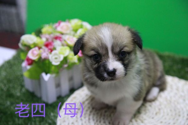 QQ图片20170411141249.jpg