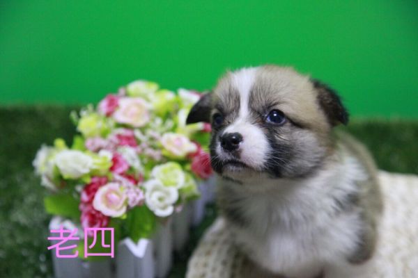 QQ图片20170411141320.jpg