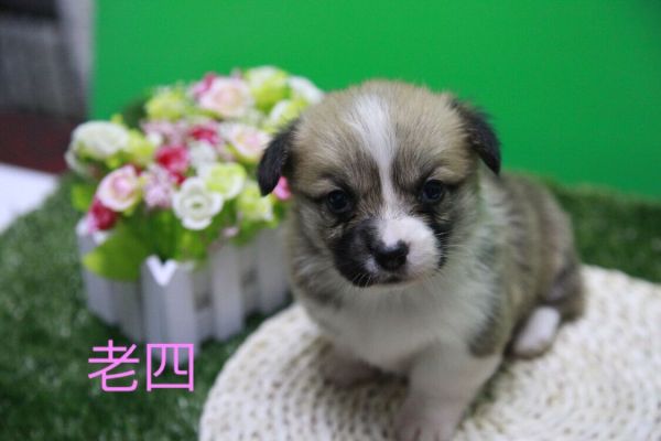 QQ图片20170411141325.jpg