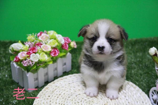 QQ图片20170411141447.jpg