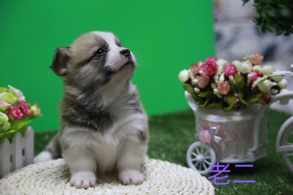 QQ图片20170411141510.jpg