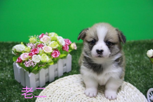 QQ图片20170411141523.jpg