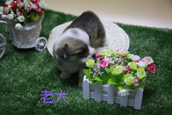 QQ图片20170411141627.jpg