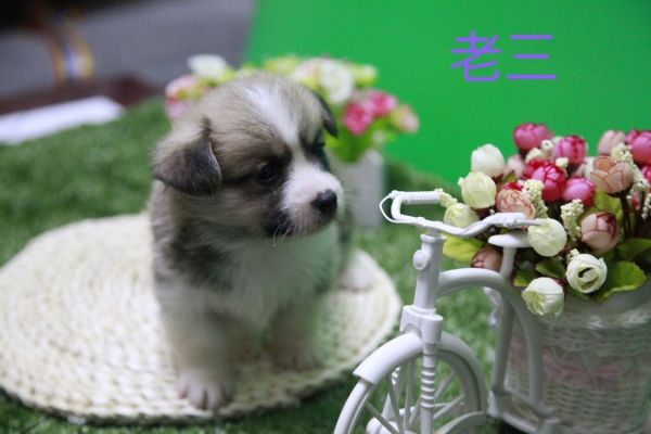 QQ图片20170411141655.jpg