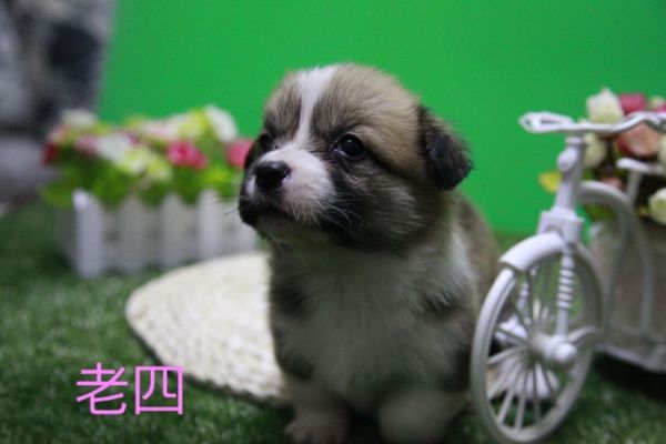 QQ图片20170411141714.jpg