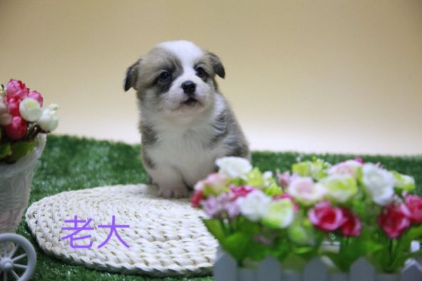QQ图片20170411141719.jpg