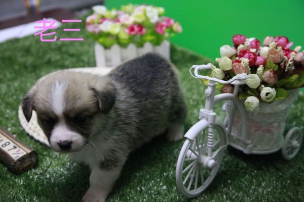 QQ图片20170411141734.jpg