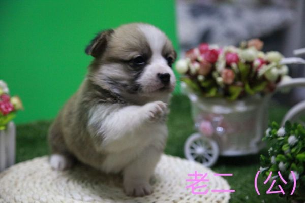 QQ图片20170411141738.jpg