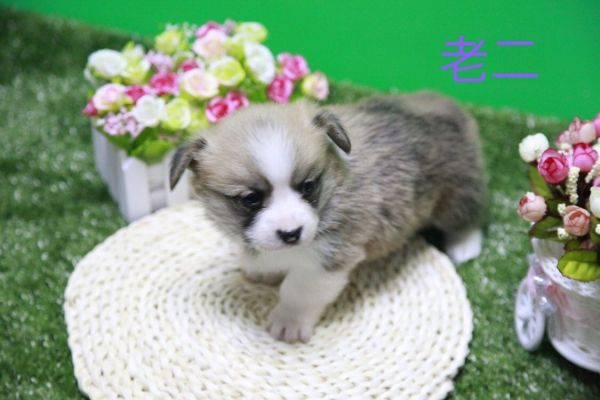 QQ图片20170411141753.jpg