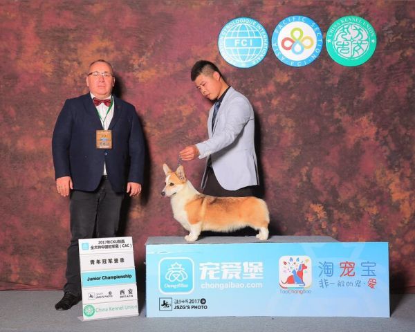 QQ图片20170412104814.jpg