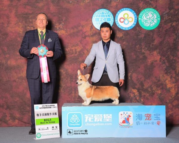 QQ图片20170412104741.jpg