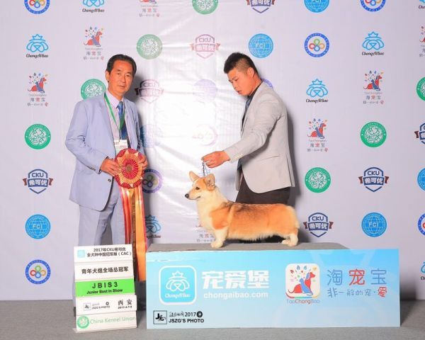 QQ图片20170412104824.jpg