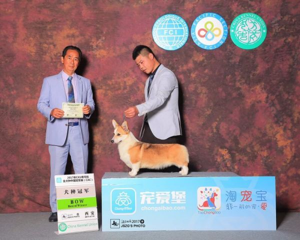 QQ图片20170412104830.jpg