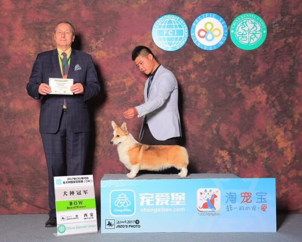 QQ图片20170412104836.jpg