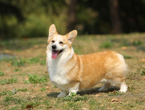 QQ图片20170412110540.jpg