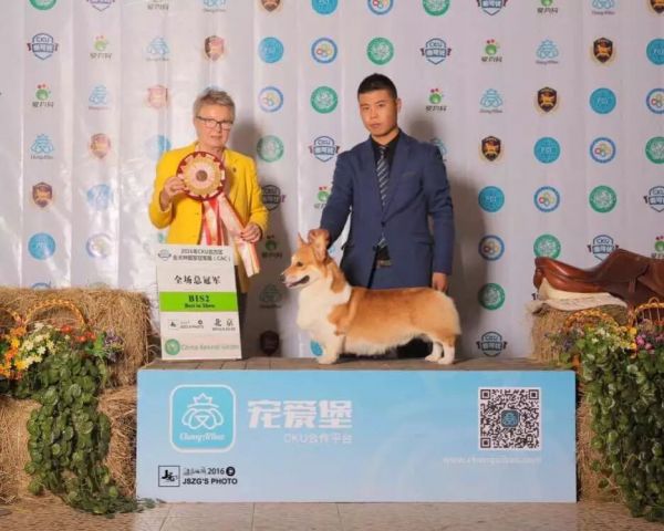 QQ图片20170412111745.jpg