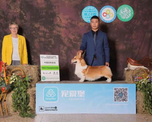 QQ图片20170412111754.jpg