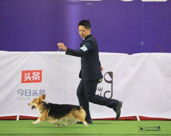212927mhhk8s8th57hnhm6.jpg.thumb.jpg