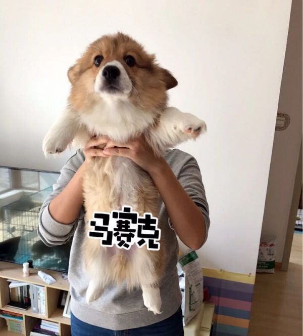 微信图片_20170330135243_看图王.jpg
