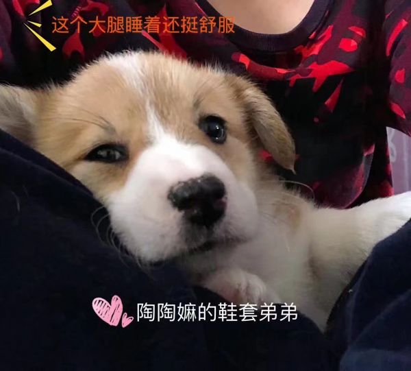 e.jpg