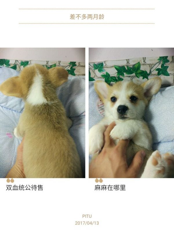 待售
