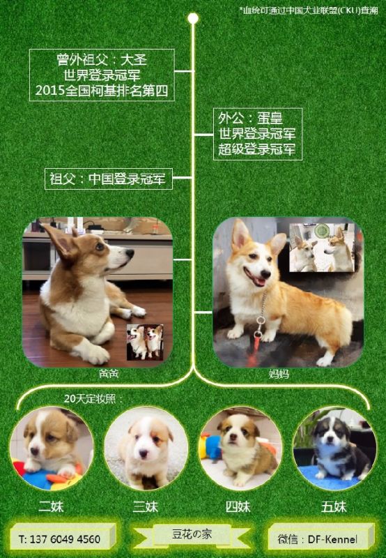图谱.jpg