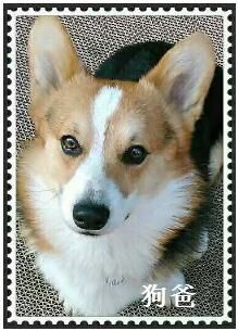 QQ图片20170414180207.jpg